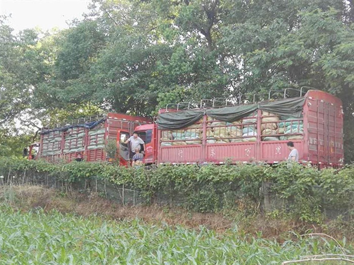 水草發(fā)貨中