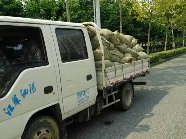 水草發(fā)貨中